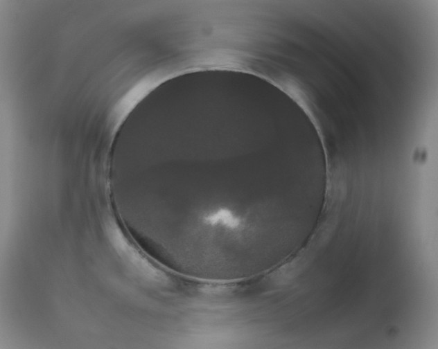 X0000112831389200909111347