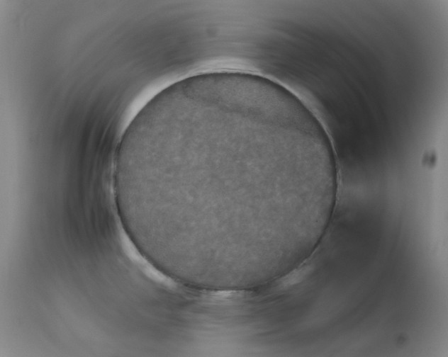 X0000112831390200909111347