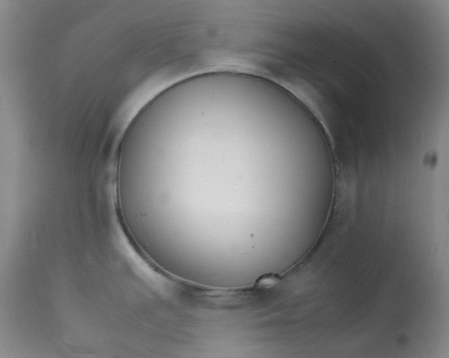 X0000112831391200909111347