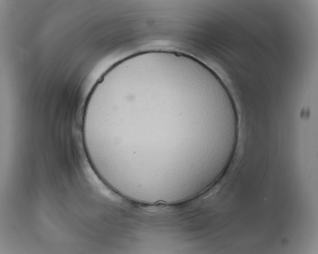 X0000112831392200909111347