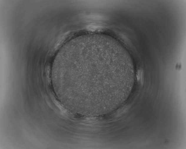 X0000112831396200909111346