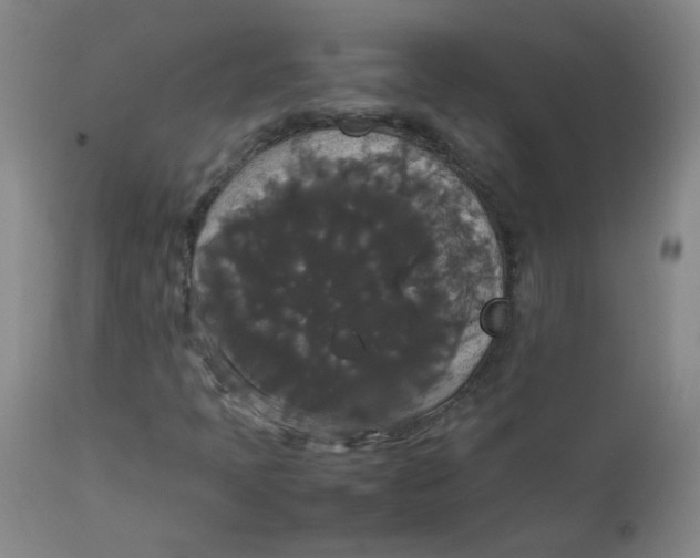 X0000112831397200909111346