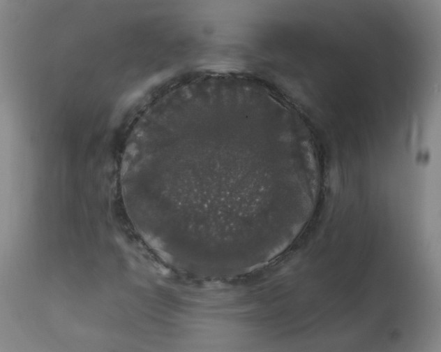 X0000112831398200909111346