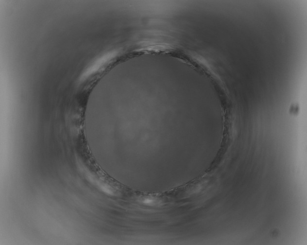 X0000112831399200909111346