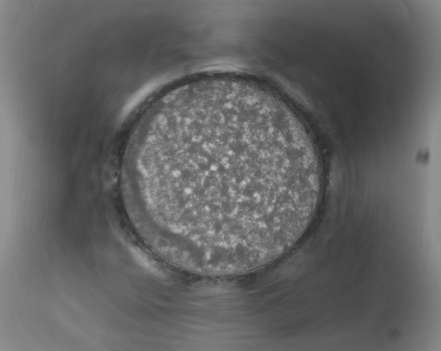 X0000112831400200909111346