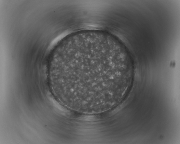 X0000112831402200909111346