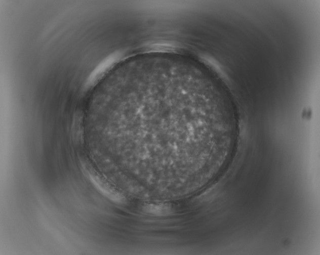 X0000112831403200909111346