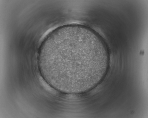 X0000112831404200909111346