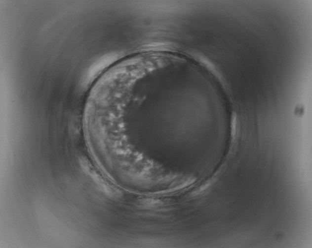 X0000112831405200909111346