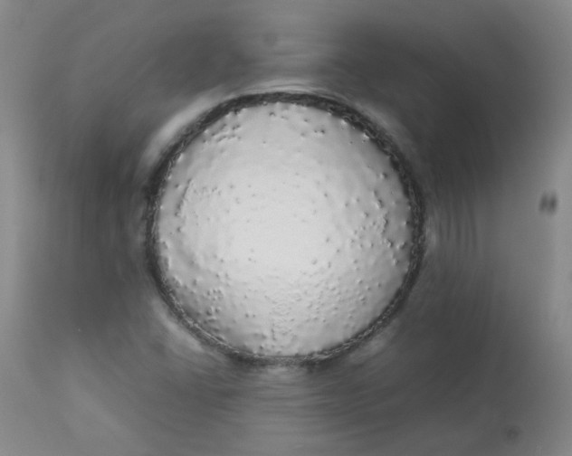 X0000112831406200909111346