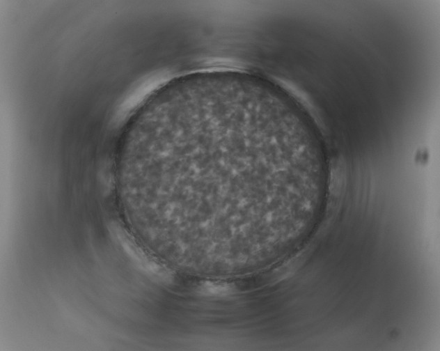 X0000112831407200909111346