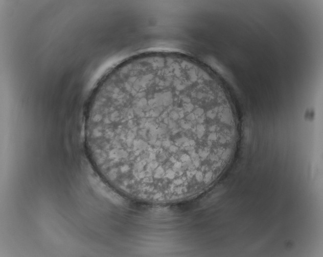 X0000112831408200909111346