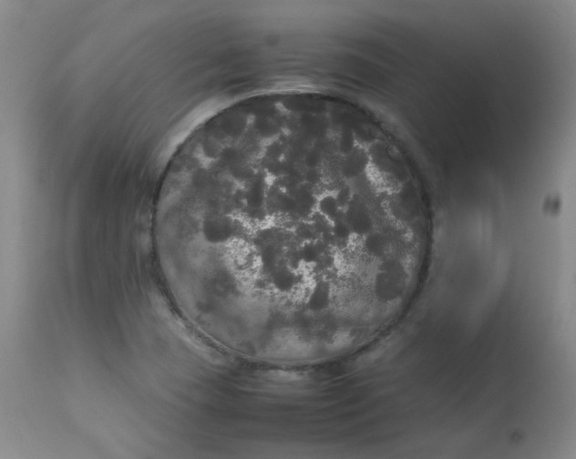 X0000112831409200909111346