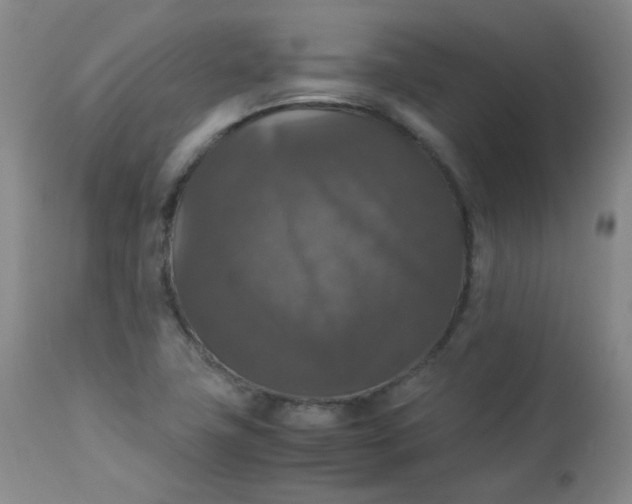 X0000112831411200909111346