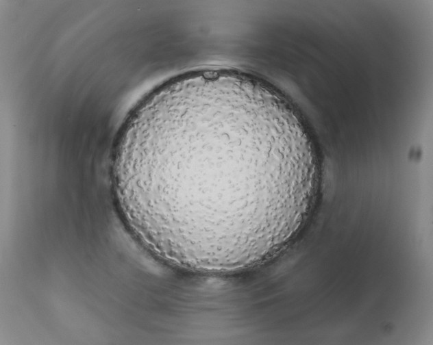 X0000112831412200909111346