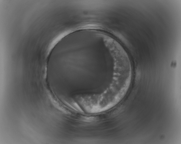 X0000112831413200909111346