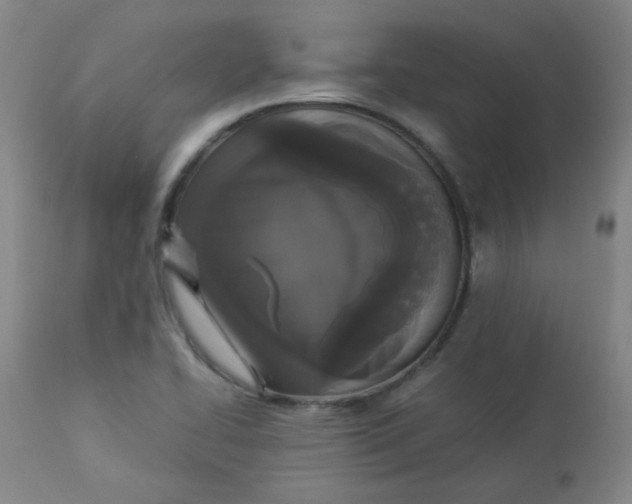 X0000112831414200909111346