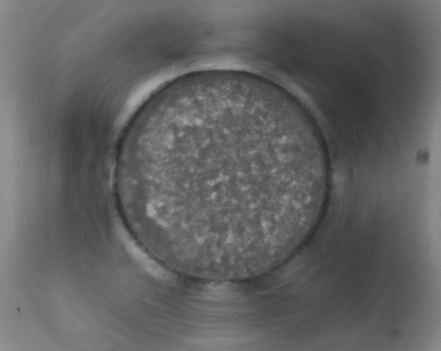 X0000112831416200909111346