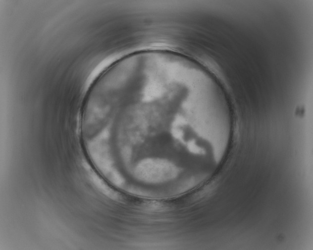 X0000112831420200909111346