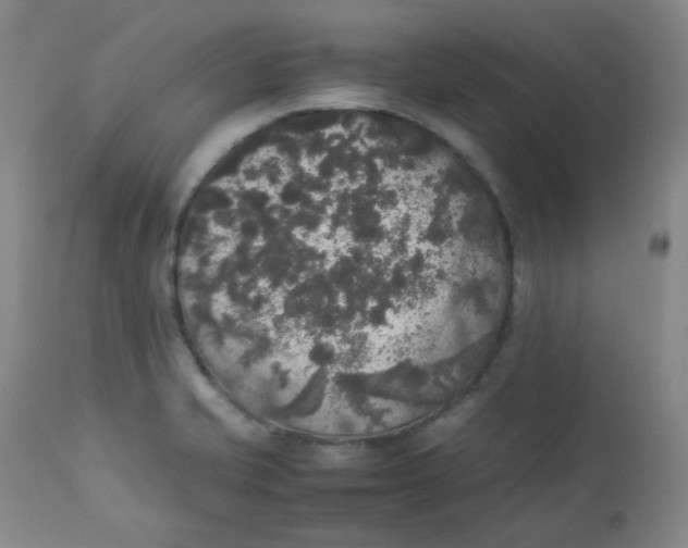 X0000112831421200909111346