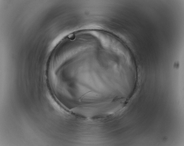 X0000112831422200909111346