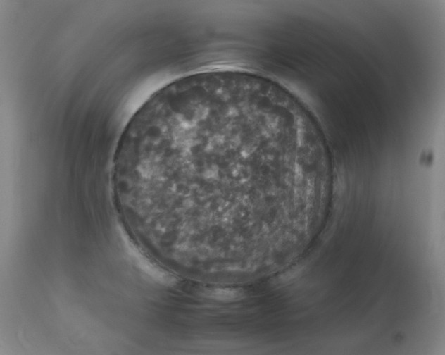 X0000112831423200909111346