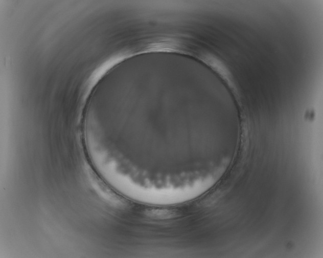 X0000112831427200909111346