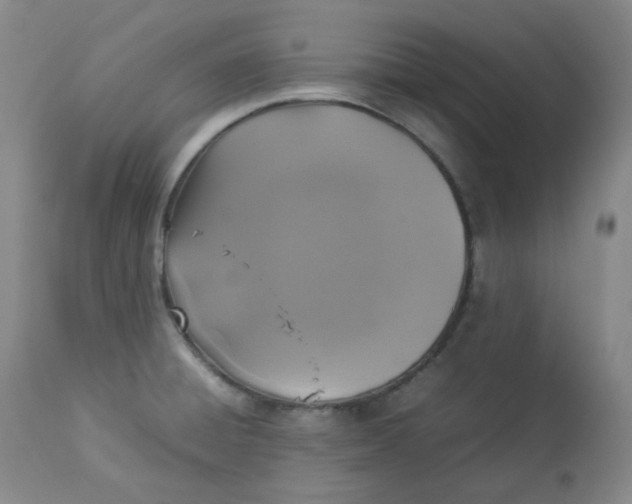 X0000112831428200909111346