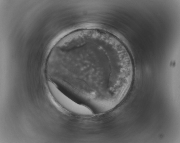 X0000112831429200909111346