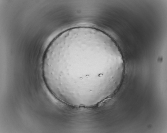 X0000112831430200909111346