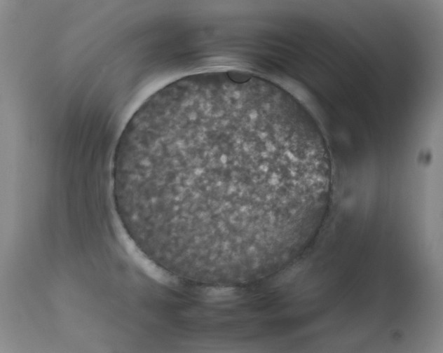 X0000112831431200909111346