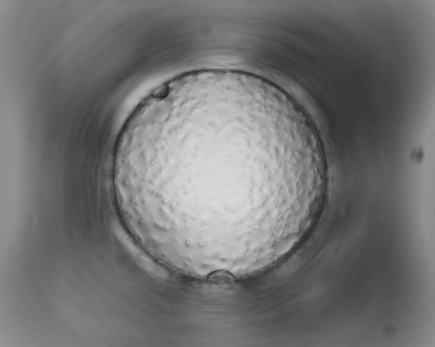 X0000112831432200909111346