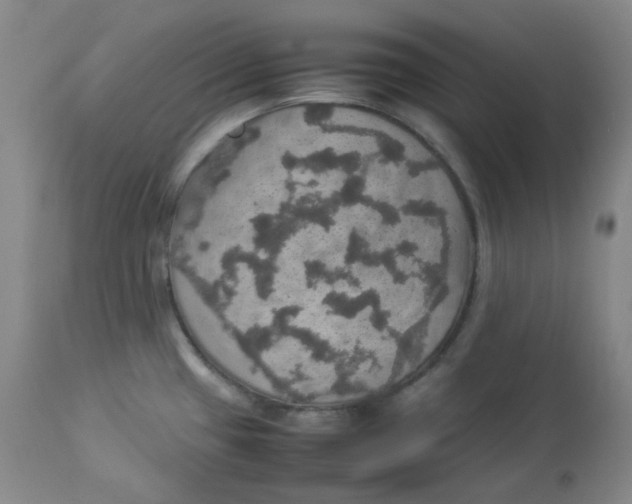 X0000112831433200909111346