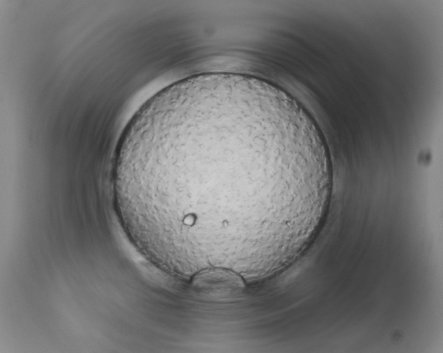 X0000112831434200909111346