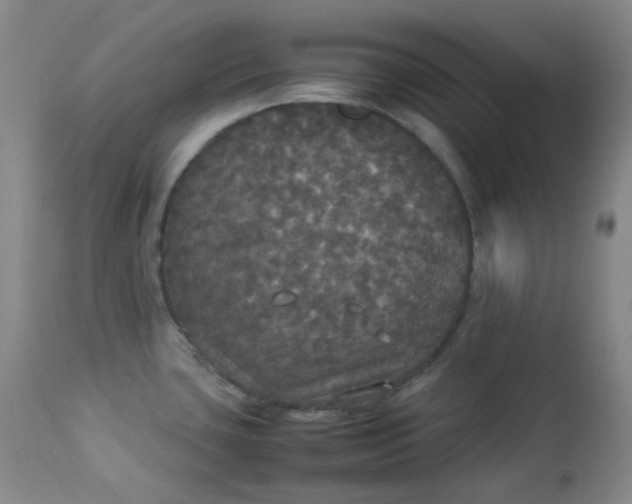 X0000112831435200909111346