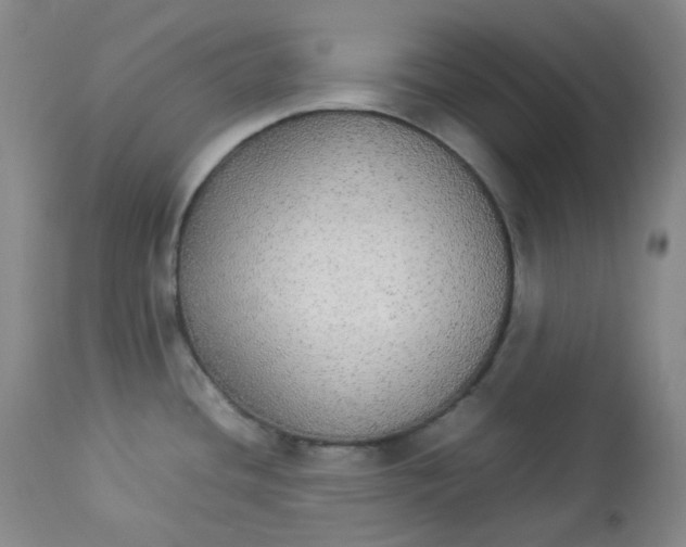 X0000112831436200909111346