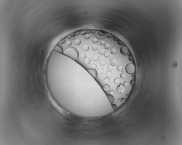 X0000112831437200909111346