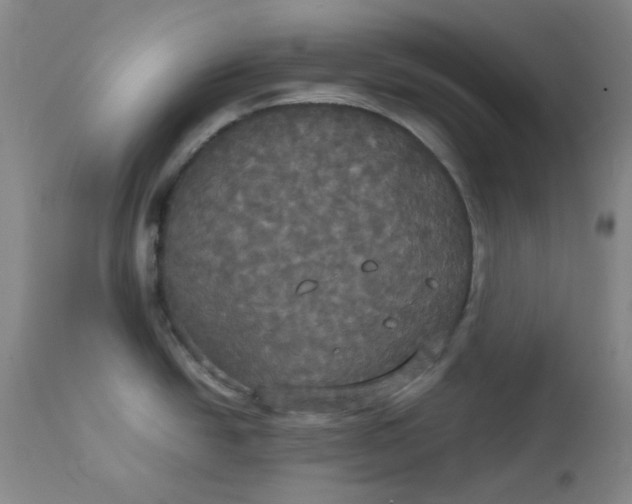 X0000112831438200909111346