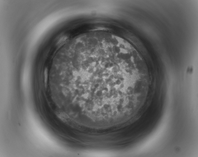 X0000112831439200909111347