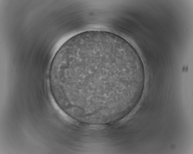 X0000112831440200909111347