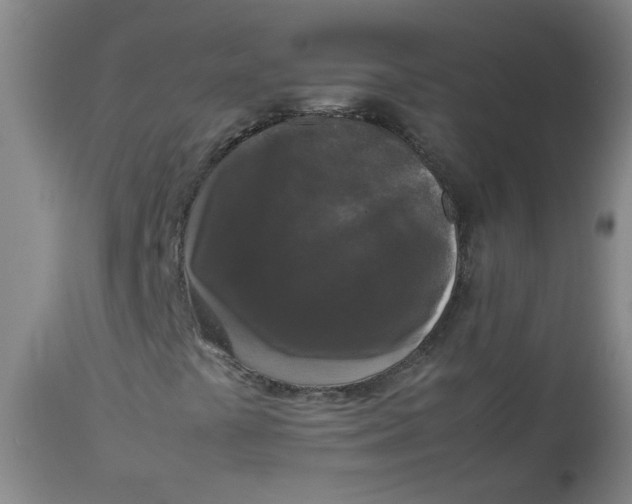 X0000112831441200909111346