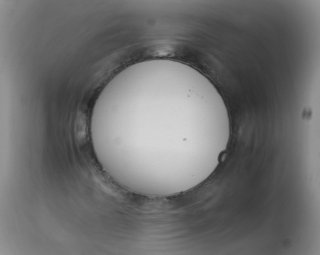 X0000112831442200909111346