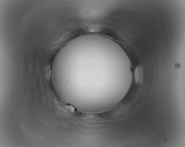 X0000112831443200909111346