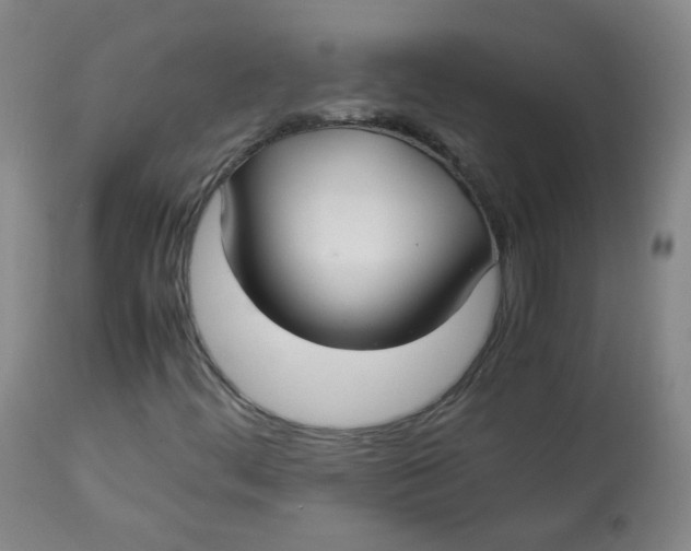 X0000112831444200909111346