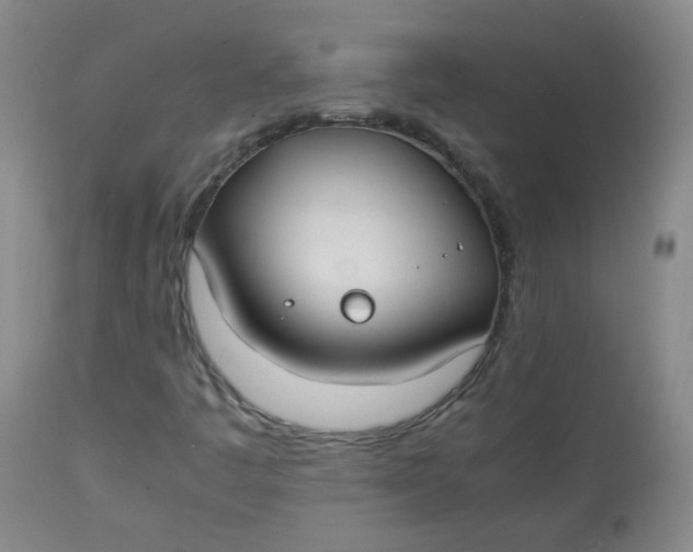 X0000112831445200909111346