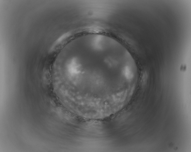 X0000112831446200909111346