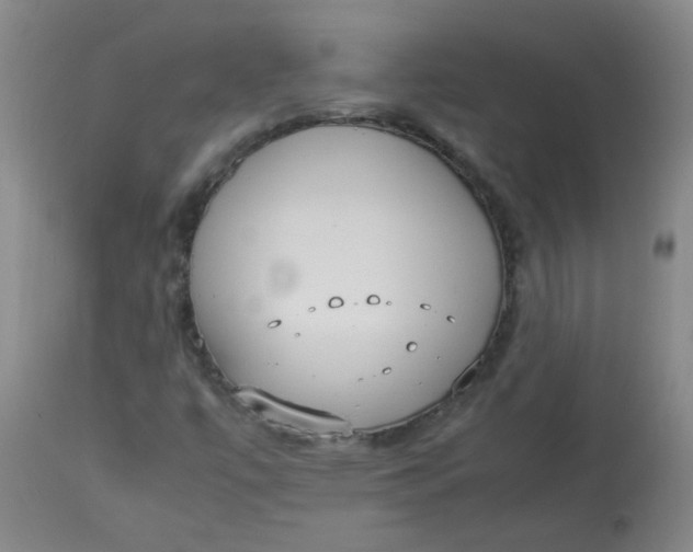 X0000112831447200909111346