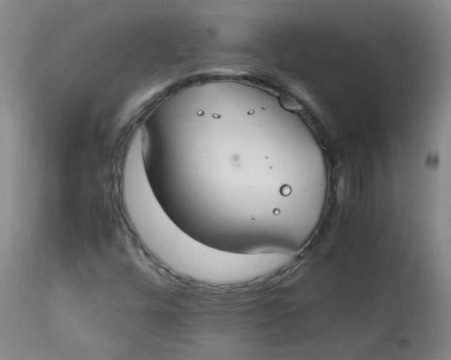 X0000112831448200909111346