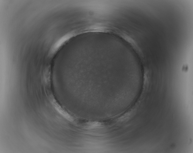 X0000112831450200909111346