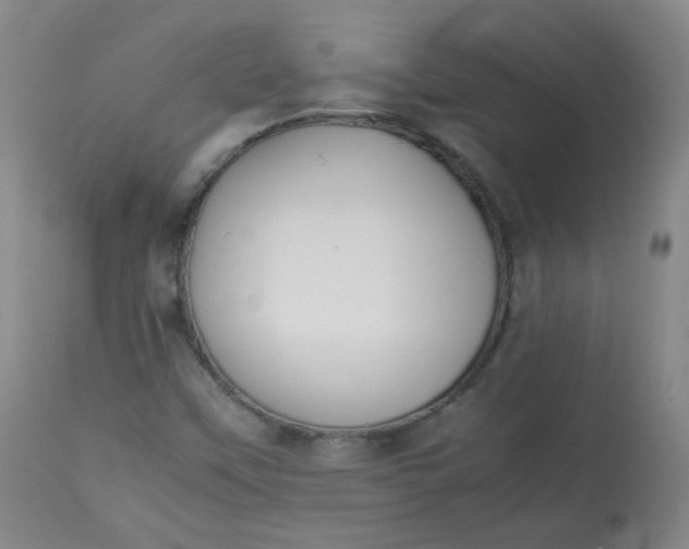 X0000112831451200909111346